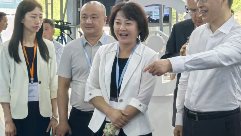 东风天龙重型卡车减震器规格揭秘：关键参数与选型逻辑